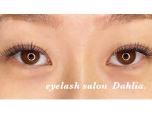 ダリア(Dahlia.)/バインドロック80束