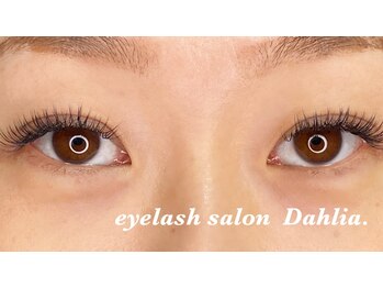 ダリア(Dahlia.)/バインドロック80束