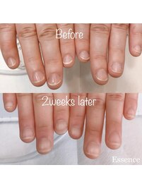 2週間で変化実感｜補強＋育成