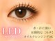 レイール 吉祥寺(Reir)の写真