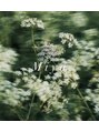 パノラマ(360°)&nbsp;Miyu 