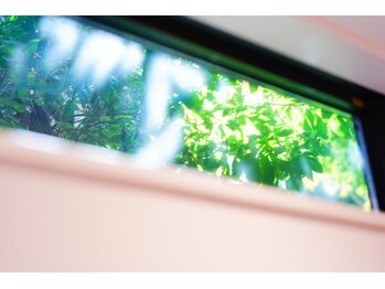 ミネラリズム(mineralism)/緑が見える小窓