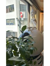 カラダファクトリー 蒲田西口店 緒方