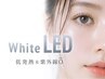 新規オフ込【WhiteLEDマットブラックフラット80本5000円】アイシャンプー付