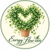 エナジーフロー1009(Energy Flow1009)のお店ロゴ