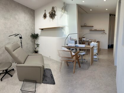 ホーリー(HOLI)の写真