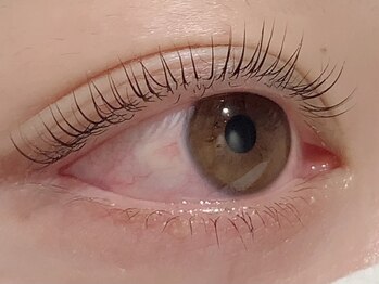 カラン 焼津店(CALIN)/上下ラスティングカール