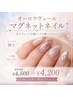 【水曜日限定】オーロラヴェール/マグネットネイル ¥4,500→¥4,200