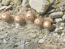 ゆびノさき/bonbon