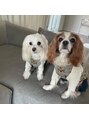 スムーピー(Smoopy)&nbsp;愛犬家です。眉毛/アイブロウ/まつげ/眉/まつげパーマ/メーテル