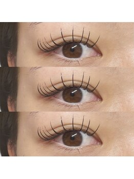 アイラッシュ ベイビーステップ(Eyelash Baby step)/フラットラッシュ120本