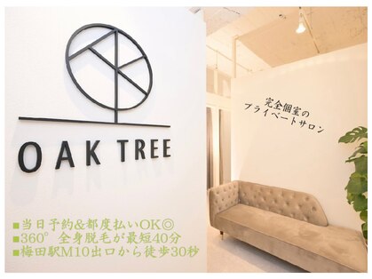 オークツリー(oak tree)の写真