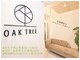 オークツリー(oak tree)の写真