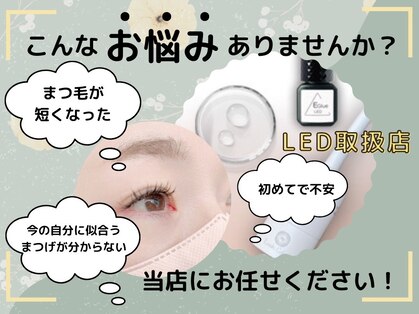 ニコ(nico)の写真