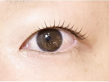 ソラネオリーブ 相模大野店(sola neolive)/【パリジェンヌ】まつ毛パーマ