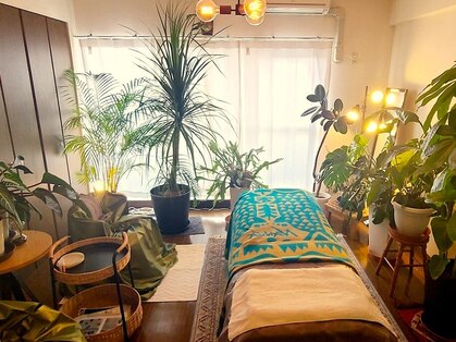 パンダママ(PandaMama)の写真