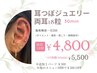 【New☆可愛いは耳から】耳ツボジュエリー♪（両耳18粒まで）