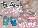 *先着順*マグネット×フラッシュ