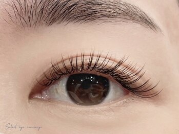 セレクト アイコンシェルジュ 新宿店(SELECT eye concierge)の写真/骨格や生え癖を分析し、理想のまつげに♪［新宿駅/アイブロウ/まつ毛パーマ/まつげ/フラットラッシュ]