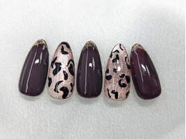毎月更新定額Bコース
