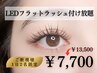 【初夏の特割!1日2名限定★】LEDフラットラッシュつけ放題￥13100→￥7700