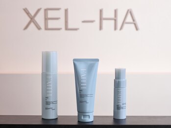 シェルハ(XEL-HA)/カーミング