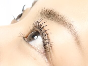 パティオアイラッシュ(Patio eyelash)/パリジェンヌラッシュリフト