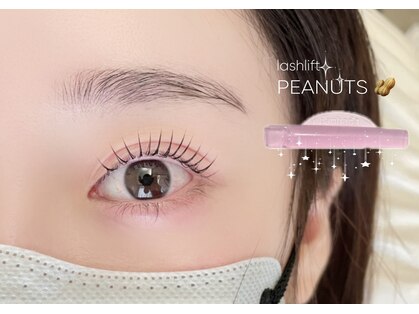 アイビー(Ivy)の写真