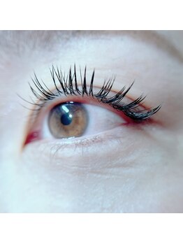 ラティメリア(Latimeria)/