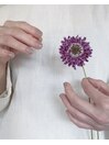 ぷるん透明感あるワンカラー