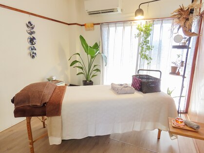 プアケリ(puakeli)の写真