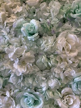 ホワイトマジック(White Magic)/お花の撮影スポット