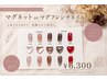 【リピート率NO1】≪新色追加≫マグネットネイル　￥6300