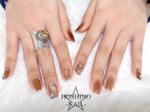 ホシノネイル(HOSHINO NAIL)/マグネットネイル