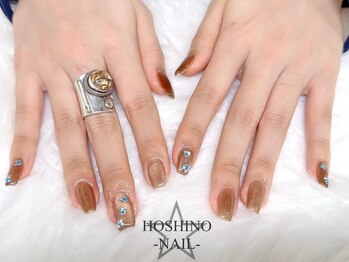 ホシノネイル(HOSHINO NAIL)/マグネットネイル