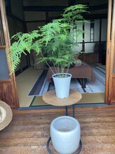 たにあん/和室に合う感じで
