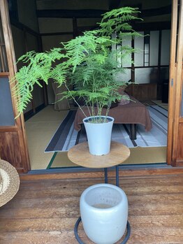 たにあん/和室に合う感じで