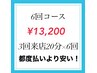 【6回コース 】美白ホワイトニング20分×6回照射 ¥13200