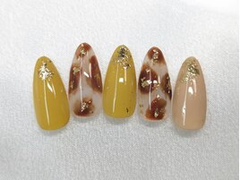 毎月更新定額Bコース