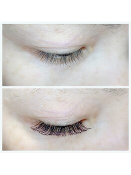 ラティメリア(Latimeria)/