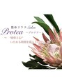 プロテア(Protea)/整体リラクSalon Protea