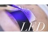 new【LED】バインドロックorダブルフラット70束￥8000