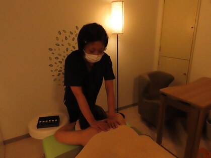 ソラ(SORA)の写真