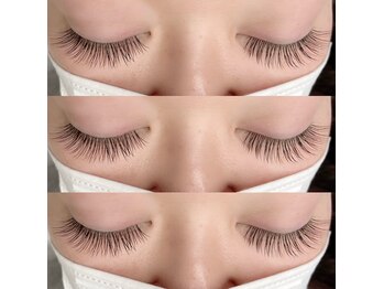 ソリス(Solis)/ダブルフラットラッシュ80束