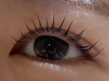 カラン 焼津店(CALIN)/シンプリフィ