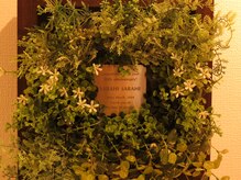 サバーイ サバーイ(SABAHI SABAHI)/開業20周年を迎えました♪