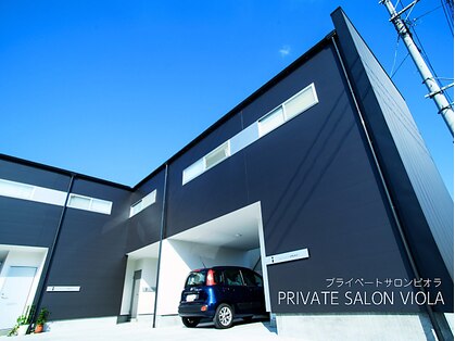 ビオラ(Viola)の写真