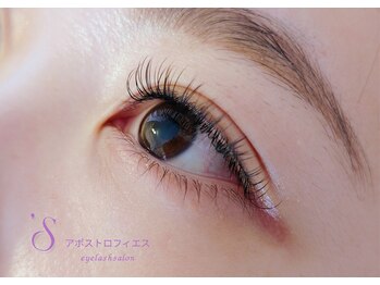 アポストロフィエス/フラットラッシュ120本