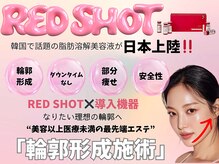 エクリア(ECLIA)の雰囲気（韓国でレモンボトルを超えたと話題の最新脂肪分解レッドショット）