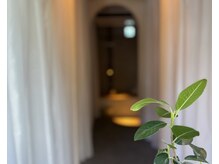 ユレル(YurerU)の雰囲気（ご案内するお部屋は桜.波.すすき.鶴の4個室ございます。）